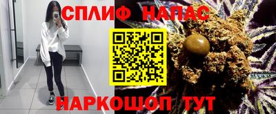 прущие крисы Моздок