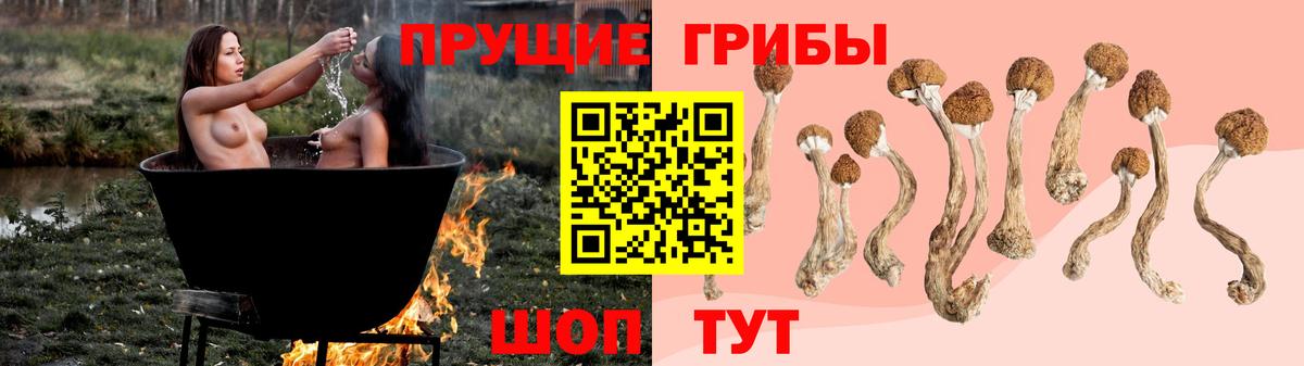 сколько стоит  Галлюциногенные грибы мухоморы  Вход с VPN  Псилоцибиновые грибы Psilocybe  Чернушка 